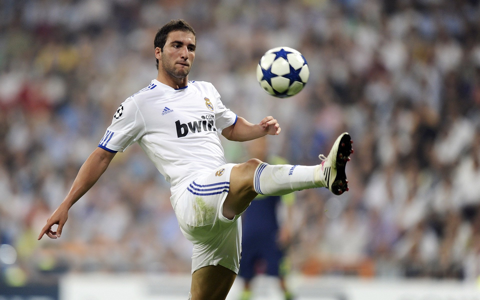 戈贝尔，沉默的国王，在嘘声中加冕